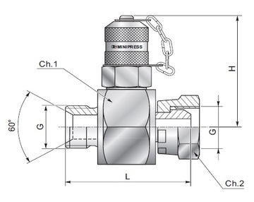 Точка измерения давления М16х2,0 проходник BSP 1/4" (Ш-Г)